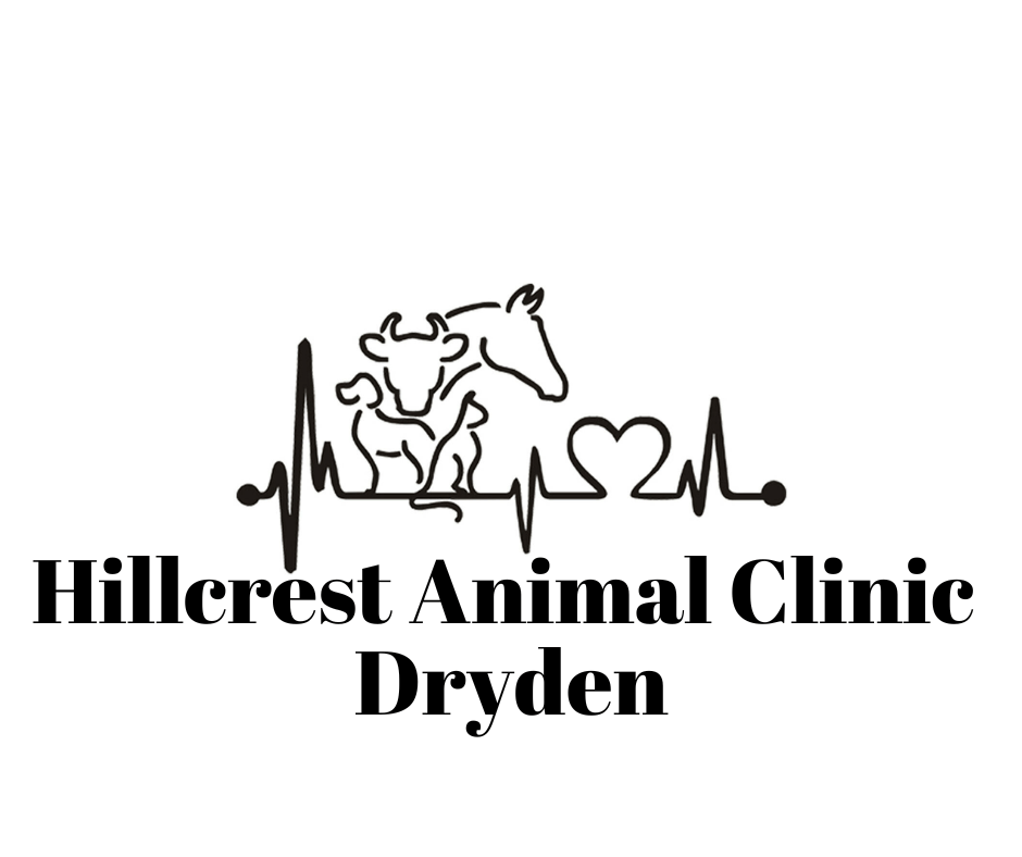 Hillcrest Animal Clinic Dryden