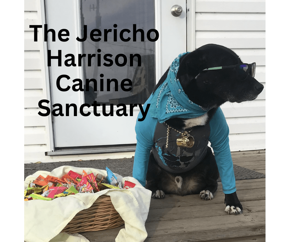 The Jericho Harrison Canine Sanctuary